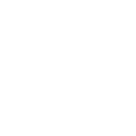 icono cerebro